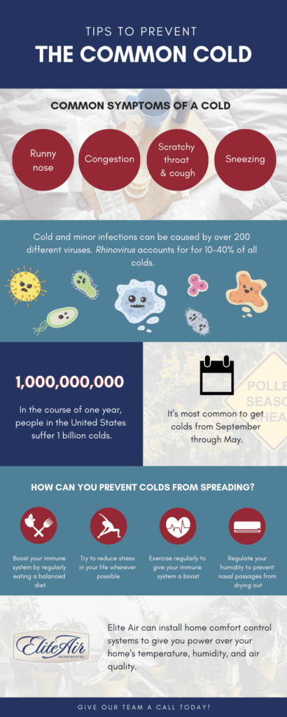Tips To Prevent The Common Cold Infographic