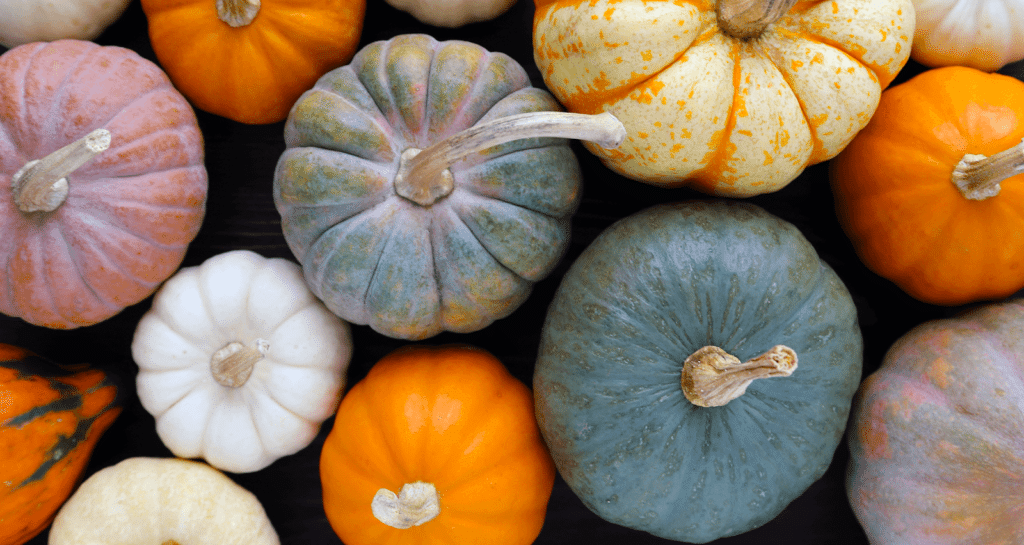 mood-for-fall-pumpkins